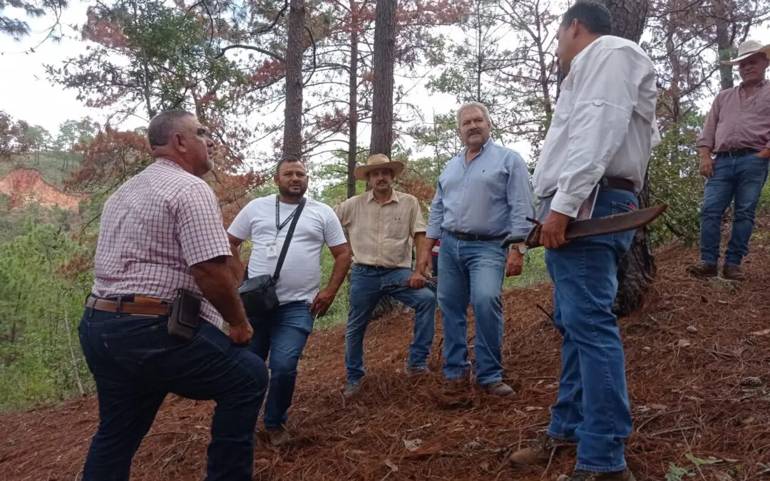 El día 11 de septiembre la Región Trifinio Guatemala junto a la Municipalidad de San José la Arada e INAB realizaron inspección y monitoreo en el Cerro Huesque, San José la Arada, Chiquimula.