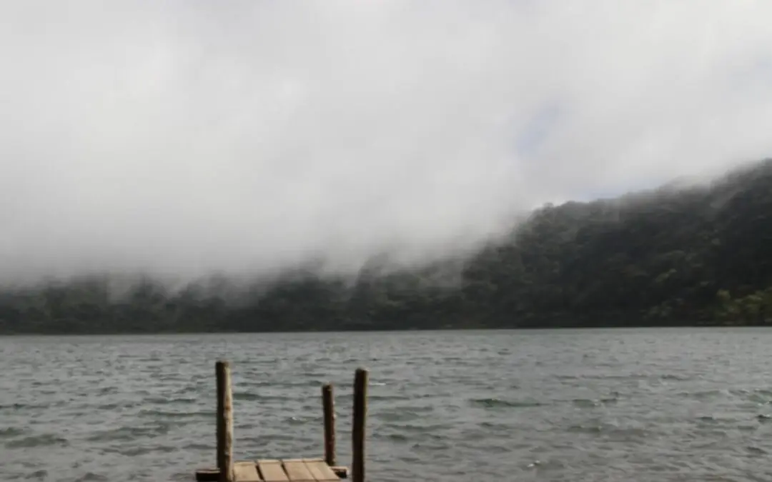 CONMEMORACIÓN DEL DÍA DE LAS ÁREAS PROTEGIDAS.