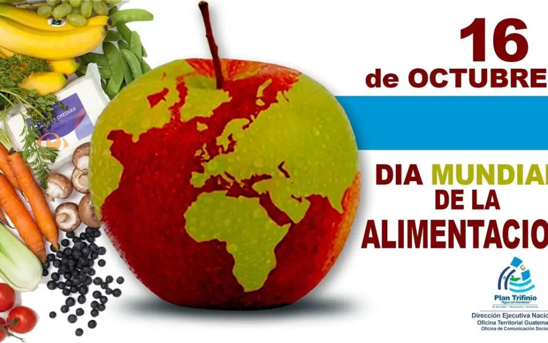 DIA MUNDIAL DE LA ALIMENTACION:  16 DE OCTUBRE
