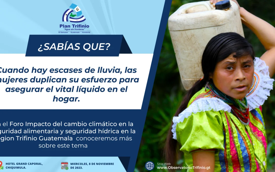 Sabia usted lo que sucede cuando hay escases de lluvia?