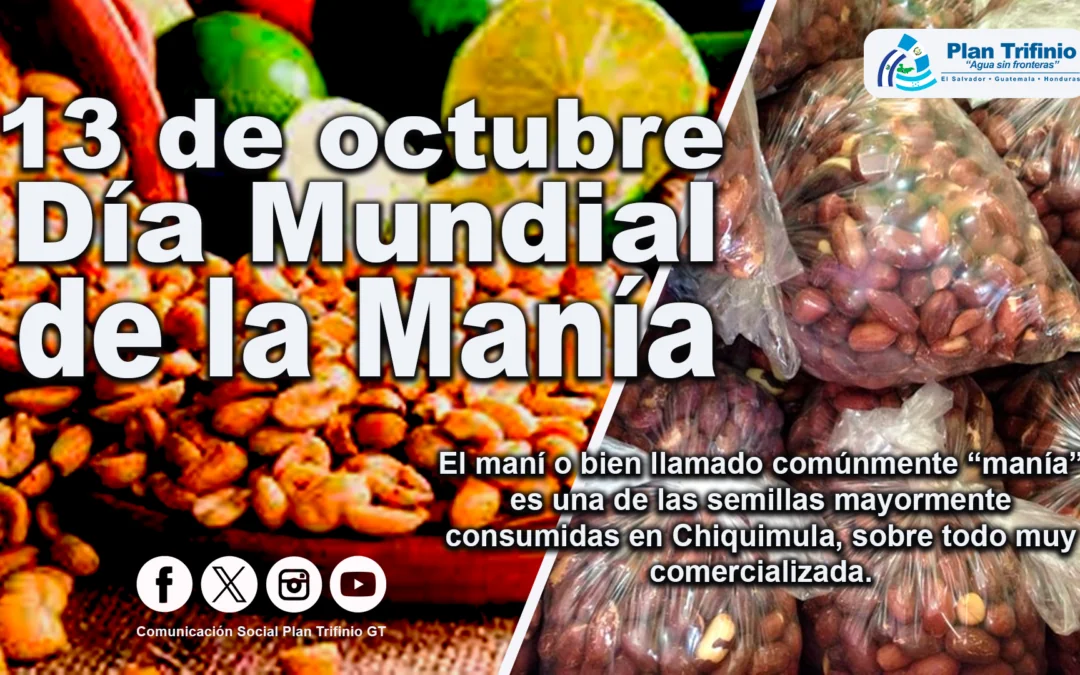 Día de la Manía y para la Reducción de Desastres