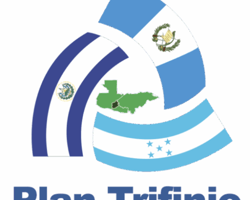 Terminos de Referencia Consultor Acciones Remediales